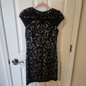 Reiss Black Blue Grey Floral Lace Sheath Dress